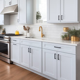 RTA Belmont White Waste Basket Base Cabinet for Kitchen, Bathroom & Laundry Storage